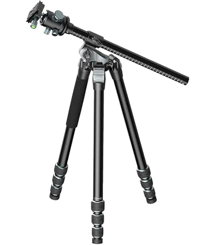 Buy Ulanzi TT35 Hiking Stick Tripod Kit, Travel Camera Tripod